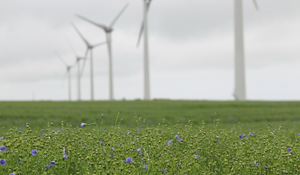 Battery storage for home solar power systems